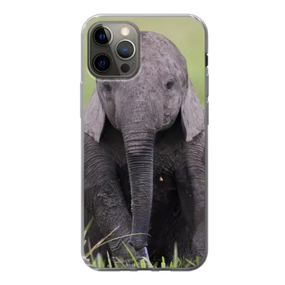 Produktbild von MuchoWow® Handyhülle Schutzhülle Hülle für iPhone 12 Pro Elefant - Baby - Tiere - Gras - Natur Silikon Softcase Handy Hülle - Abdeckung