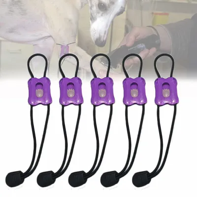 Produktbild von Turnierverband für Haustiere - 5 Stück - Violett