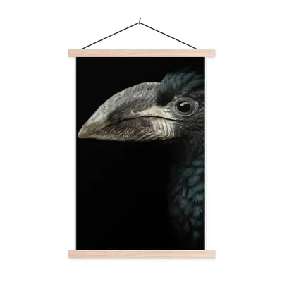 Produktbild von MuchoWow® Textilposter Vogel - Porträt - Hornvogel - Schwarz - Tiere 60x90 cm mit holzfarbenen Rahmen - Textil