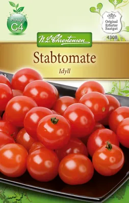 Immagine prodotto di Stabtomate Idyll | Semi di stabtomate di N.L. Chrestensen