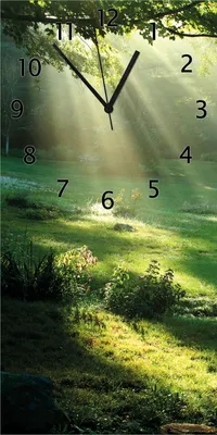 Produktbild von Wallario Design Wanduhr Sonnenstrahlen im Wald aus Echtglas, Größe 30 x 60 cm