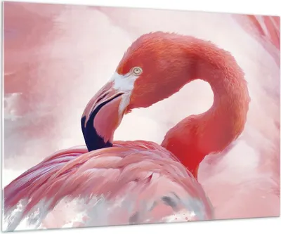 Produktbild von Bilder auf glas - Einteilig - Flamingo Vogel Porträt - 100x70cm - Glasbilder - Wandbilder - Bilder - zum Aufhängen bereit - Wanddekoration aus Glas - Glas Bilder - Wandbild auf Glas - GAA100x70-4984