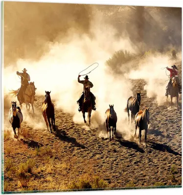 Produktbild von Bilder auf glas - Cowboys Pferde Galopp - 70x70cm - Glasbilder - Wandbilder - Kunstdruck - zum Aufhängen bereit - Wanddekoration aus Glas - Glas Bilder - Wandbild auf Glas - Einteilig - GAC70x70-2693