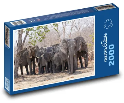 Zdjęcie produktu dla martinpuzzle - Puzzle 2000 - Słonie