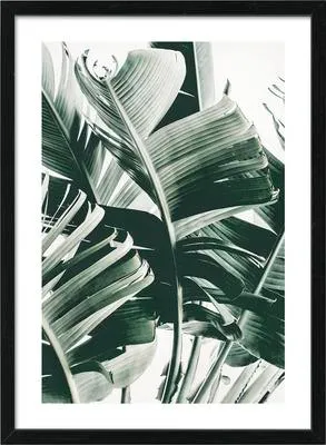 Produktbild von Gerahmtes Bild Jungle Leaves IV 53x73 cm
