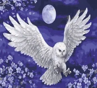 Produktbild von 50x40 cm Malen nach zahlen Set mit Holzrahmen Eule und Mond