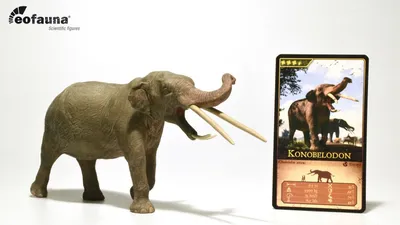 Produktbild von Eofauna FIG-008 Konobelodon 23 cm 1:35 Welt der Dinosaurier