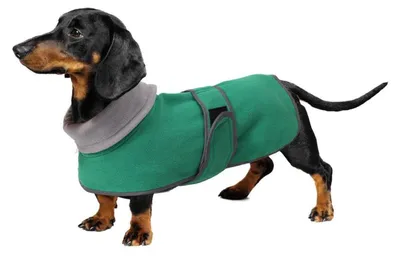 Immagine prodotto di Cappotto per cani in pile polare, colore verde, taglia L (lunghezza del dorso 47-50 cm)