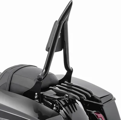 Immagine prodotto di Sissybar con portapacchi ST adatto per Harley Davidson Street Glide