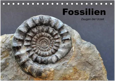 Immagine prodotto di Fossili - Testimoni della preistoria (calendario da tavolo 2026 DIN A5 orizzontale), CALVENDO Calendario mensile