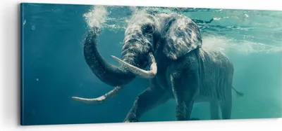 Produktbild von Bild auf Leinwand - Leinwandbild - Elefant Tier Wasser - 100x40cm - Wand Bild - Wanddeko - Leinwanddruck - Bilder - Kunstdruck - Wanddekoration - Leinwand bilder - Wandkunst - AB100x40-3944