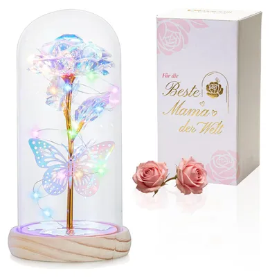 Ewige Rose in Glaskuppel mit LED-Lichtern – 22 cm, Regenbogen