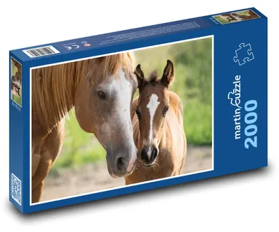 Obrázek produktu pro Puzzle 2000 Kůň a hříbě na louce - martinpuzzle