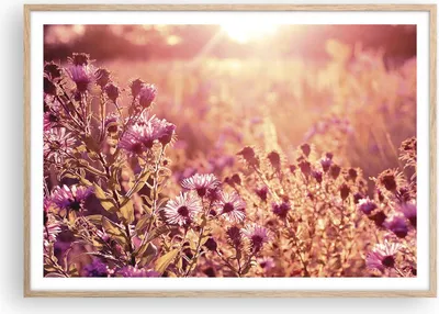 Produktbild von Gerahmtes Poster - Rahmen in heller Eiche - Wiese Blumen Sonne - 100x70 cm - Wand Bild - Wanddeko - Wandbilder - Kunstposter - Wandposter - Bilderrahmen - Bilder - Kunstdruck - P2NAA100x70-4819