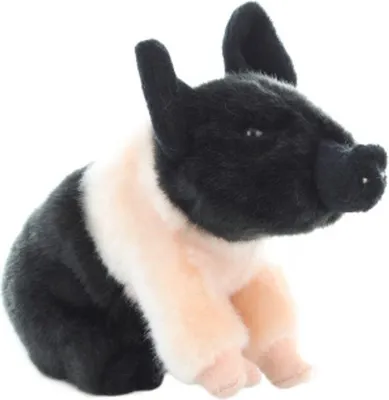 Produktbild von Uni-Toys - Angler Sattelschwein Ferkel rosa-schwarz - 20 cm (Länge) - Plüsch-Schweinchen, Schwein - Plüschtier, Kuscheltier