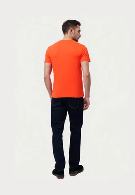 Produktbild von U.S. POLO T-Shirt Basic Shirt R-Neck
