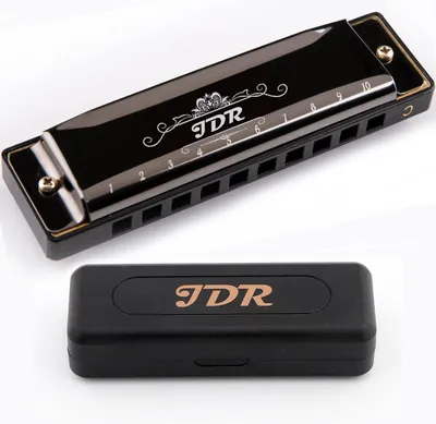 Image de Harmonica à 10 trous, 20 notes, en do majeur, en acier, de couleur noire, pour enfants et débutants