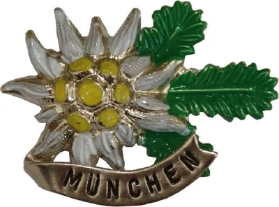 Hutanstecker Edelweiß München von Hut-Breiter