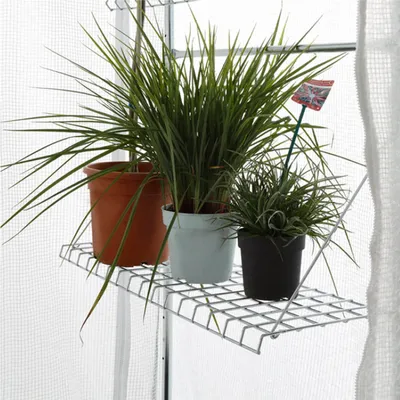 Produktbild von BioGreen Regal für Überwinterungszelt "Patioflora 100/L" 80 cm x 30 cm