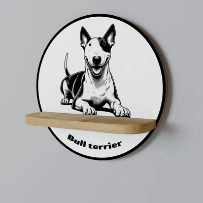Obrázek produktu pro BULLTERRIER Kulatá police