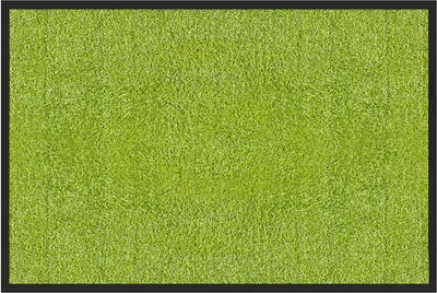 Produktbild von Schmutzfangmatte Rhine waschbare & leistungsstarke Fußmatte Green 90x120 cm