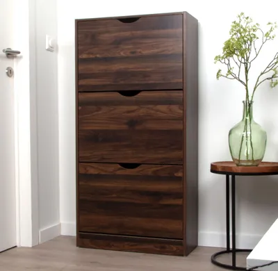 A dark brown shoe cabinet with three drawers is shown in a room next to a white door and a small side table with a green vase and plants.