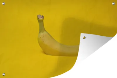 Produktbild von MuchoWow®