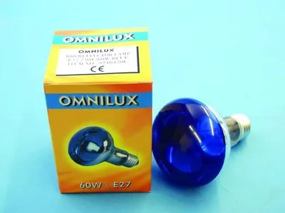 Productafbeelding van OMNILUX R80, 230V/60W, E-27, blauw