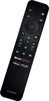 A black Sony remote control is shown against a white background.