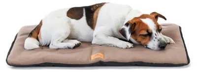 Image de Coussin pour chien Ferplast, canapé pour chien, lit pour chien, taille moyenne, double face, résistant aux griffes