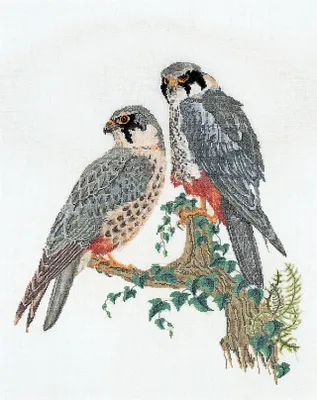 Produktbild von Thea Gouverneur Kreuzstich Stickpackung "Falken Aida", Zählmuster, 48x60cm