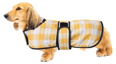 Produktbild von Solidchoice – Verstellbare Hundejacke für Dackel mit reflektierenden Bändern – Gelb