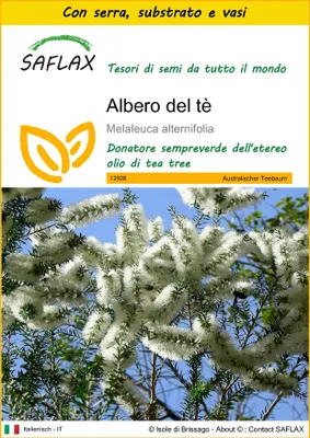 Immagine prodotto di SAFLAX Insieme di coltivazione - Albero del tè - 400 semi - Melaleuca