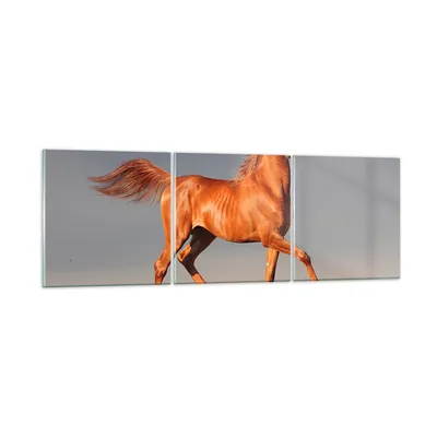 Produktbild von Bilder auf glas - Tiere Pferd Galopp Geschwindigkeit - 90x30cm - Glasbilder - Wandbilder - Kunstdruck - zum Aufhängen bereit - Wanddekoration aus Glas - Glas Bilder - Wandbild auf Glas - GCA90x30-2590