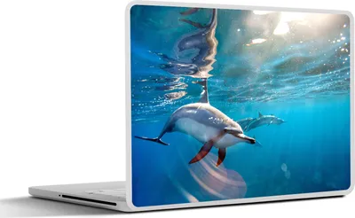Produktbild von MuchoWow® Laptop Aufkleber Sticker Cover Delphin - Sonne - Wasser 30x21 cm - Sticker für Laptop - Selbstklebend