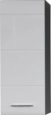 Produktbild von trendteam Bad Hänge-Stauraumelement Line/Skin Sardegna Rauchsilber Melamin/Weiß Hochglanz Tiefzieh 30 x 77 x 24 cm