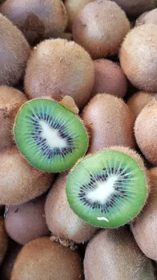Image de Actinidia deliciosa 'Hayward' / Kiwi 'Hayward' (Femelle)