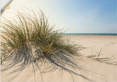 Produktbild von ARTland Wandbild, selbstklebend Strandgras Größe: 70x50 cm