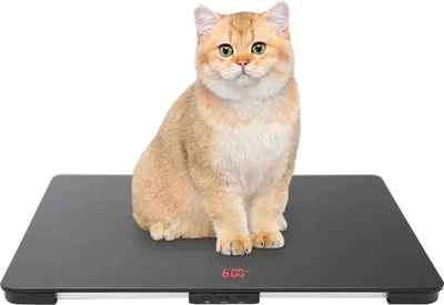 Image de Balance pour animaux - balance numérique pour peser au sol - capacité de charge de 1 à 100 kg - surface en verre trempé - grand écran LCD - plateforme de 65x45 cm - couleur noire