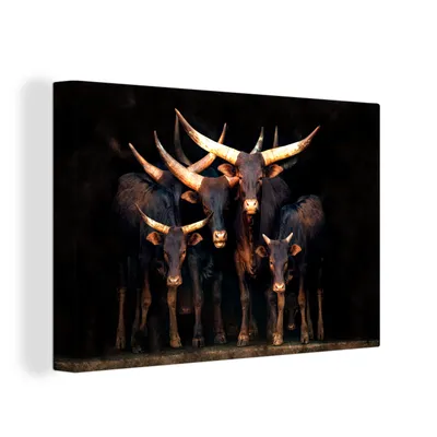 Produktbild von OneMillionCanvasses® - Leinwandbilder - 150x100 cm, Kuh - Watussie - Stier - Schwarz, Wandbilder Kunstdruck Wanddekoration