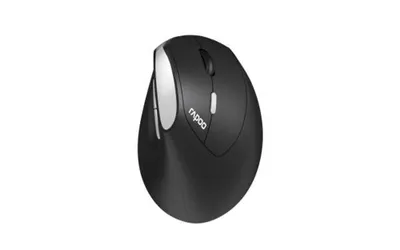Produktbild von Rapoo EV250, rechts, Optisch, RF Wireless, 1600 DPI, Schwarz, Silber