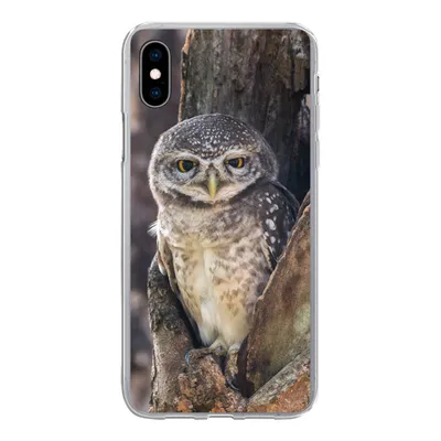 Produktbild von MuchoWow® Handyhülle Schutzhülle Hülle für iPhone Xs Eule - Baum - Wald Silikon Softcase Handy Hülle - Handytasche