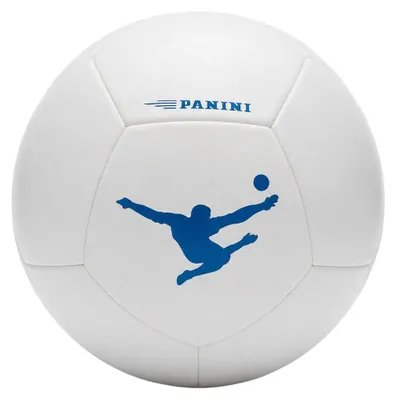 Productafbeelding van Panini Voetbal, maat 5, wit met blauw logo