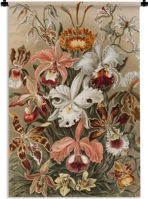 Produktbild von MuchoWow® Wandteppich Wandbehang Orchidee - Ernst Haeckel 120x180 cm Tapisserie Dekoration Wandtuch - Schlafzimmer - Dekorationen für das Haus