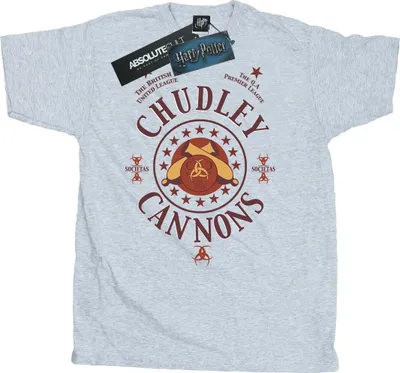 Produktbild von Harry Potter - "Chudley Cannons" T-Shirt für Herren BI29048 (M) (Grau)