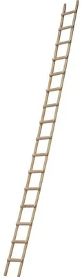Image de Echelle plate de toit RICHOMME 5.00 m écart.33 cm - B3150033