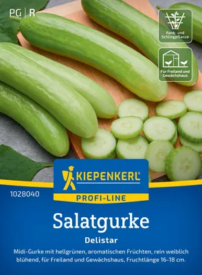 Produktbild von Kiepenkerl Salatgurkensamen Delistar F1 Cucumis sativus 5 Pflanzen