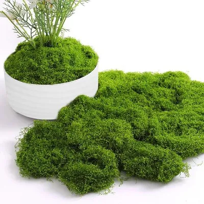 Image de Mousse artificielle verte pour la décoration de Noël