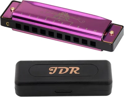 Zdjęcie produktu dla Harmonijka 10 otworów, 20 tonów, stal nierdzewna, diatoniczna, dla początkujących, czarna (fioletowa)