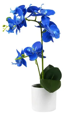 Image de Orchidée artificielle bleue dans un pot blanc, imperméable